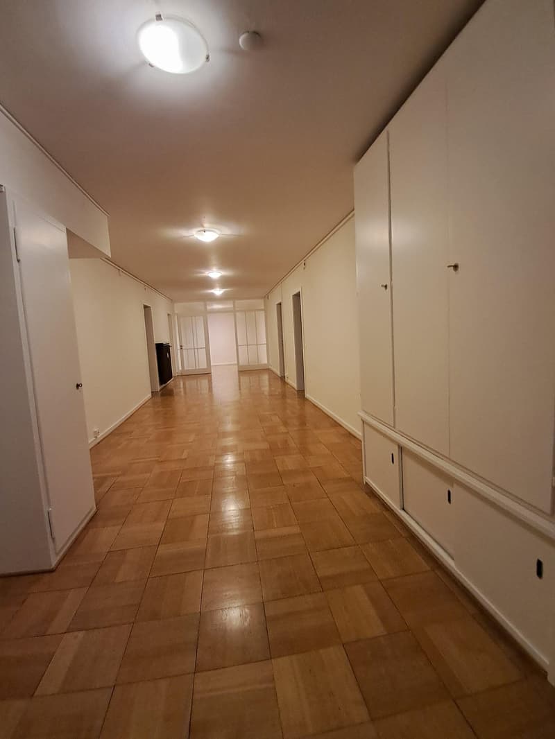 Representative old building apartment or exclusive commercial space with Rhine view and large balcony (7)