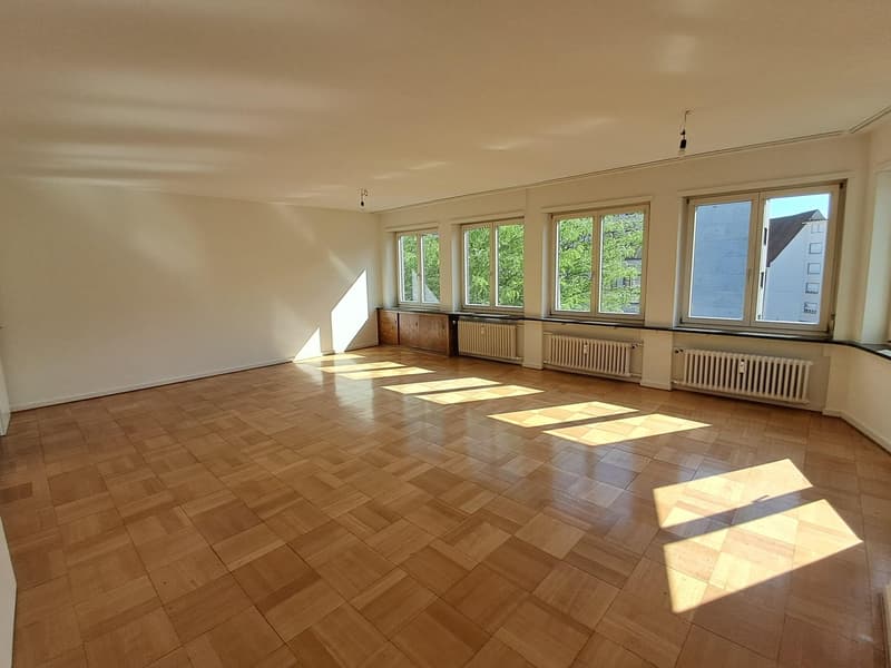 Representative old building apartment or exclusive commercial space with Rhine view and large balcony (3)