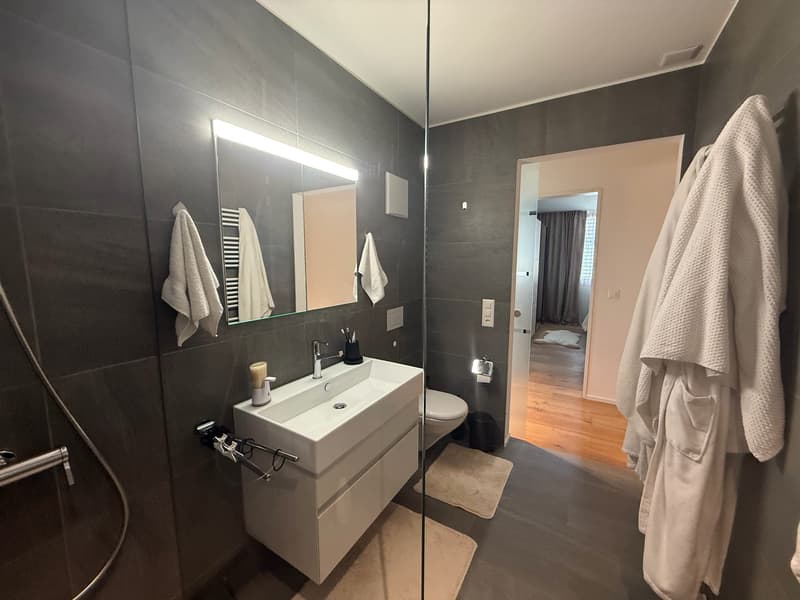 Bright, air-conditioned 2.5-room apartment with balcony and underground parking space (12)