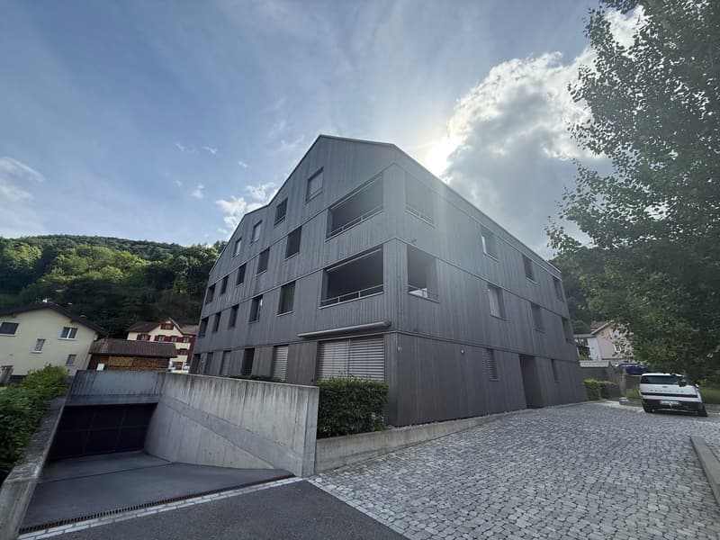 Bright, air-conditioned 2.5-room apartment with balcony and underground parking space (1)