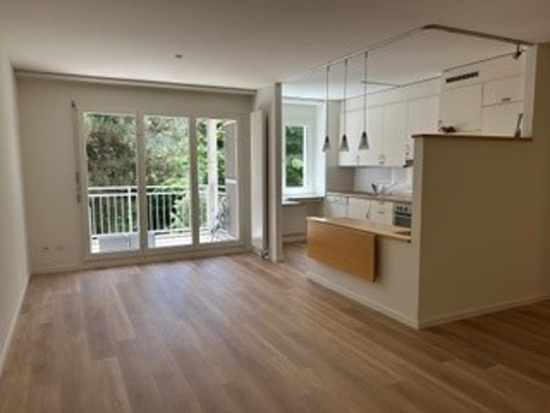 Appartamento luminoso, soleggiato, tranquillo, ristrutturato 2 locali con balcone in una posizione tranquilla a Basilea (2)