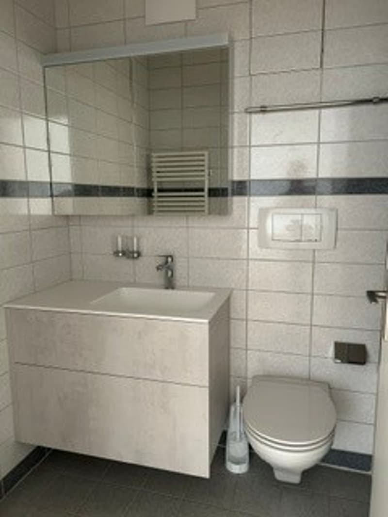 Appartamento luminoso, soleggiato, tranquillo, ristrutturato 2 locali con balcone in una posizione tranquilla a Basilea (6)
