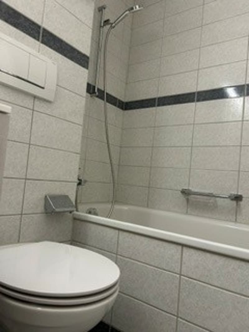 Appartamento luminoso, soleggiato, tranquillo, ristrutturato 2 locali con balcone in una posizione tranquilla a Basilea (7)