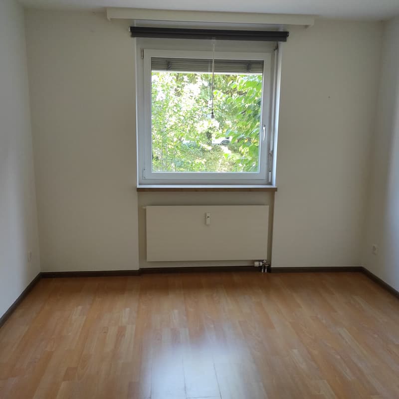 Helle 4.5-Zimmer-Wohnung mit Balkon in Allschwil (9)