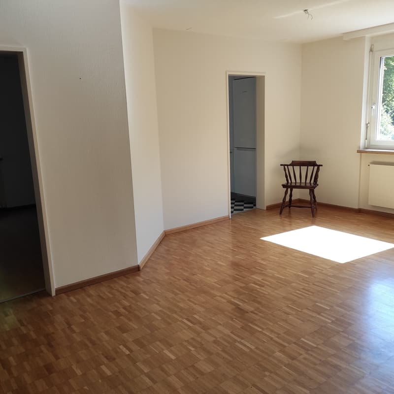 Helle 4.5-Zimmer-Wohnung mit Balkon in Allschwil (6)