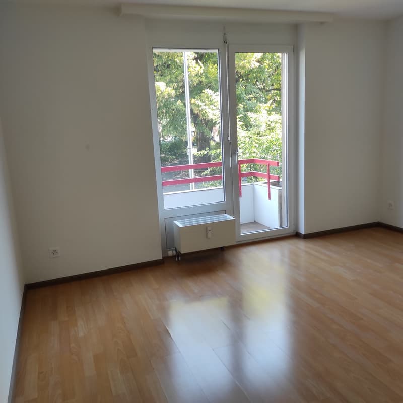 Helle 4.5-Zimmer-Wohnung mit Balkon in Allschwil (7)