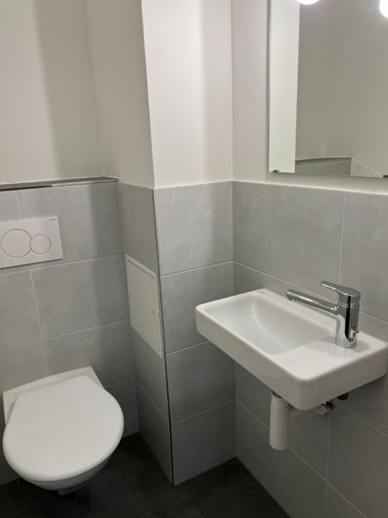 4.5-Zimmer Wohnung mit gedecktem Südbalkon, Gartensitzplatz und Lift (24)