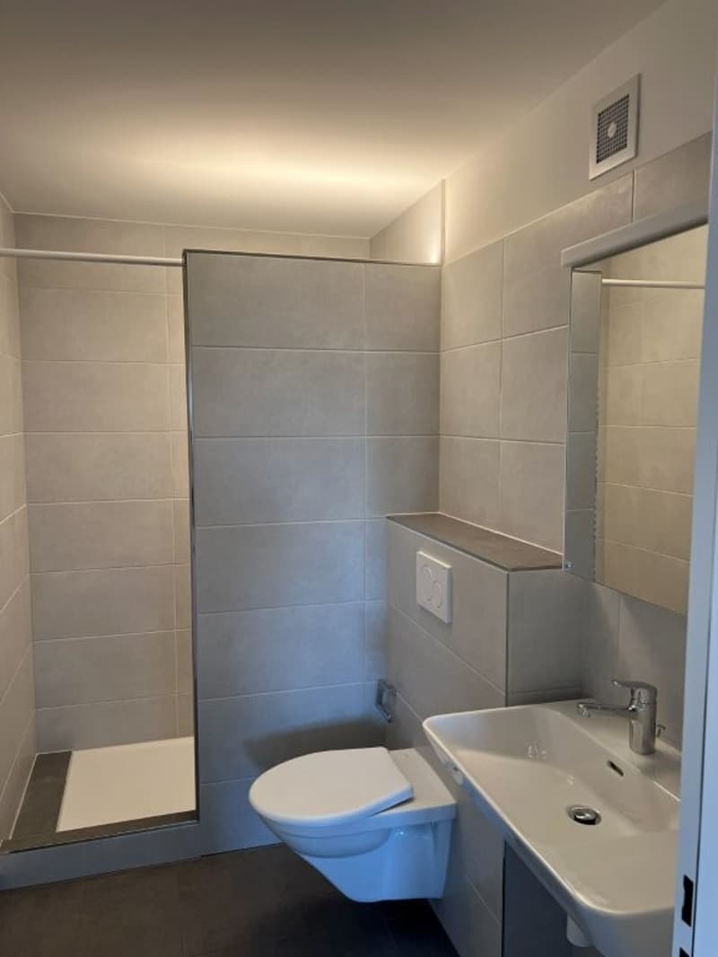 4.5-Zimmer Wohnung mit gedecktem Südbalkon, Gartensitzplatz und Lift (22)