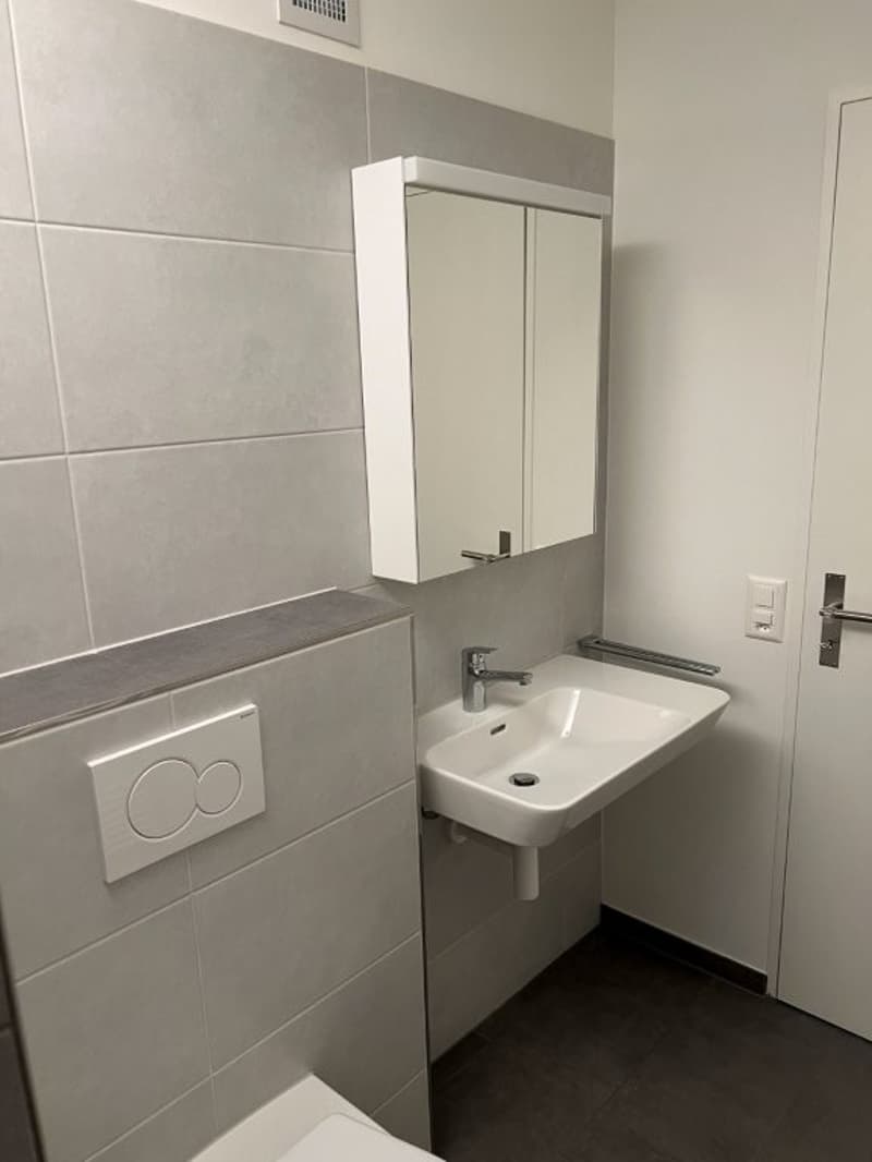 4.5-Zimmer Wohnung mit gedecktem Südbalkon, Gartensitzplatz und Lift (23)