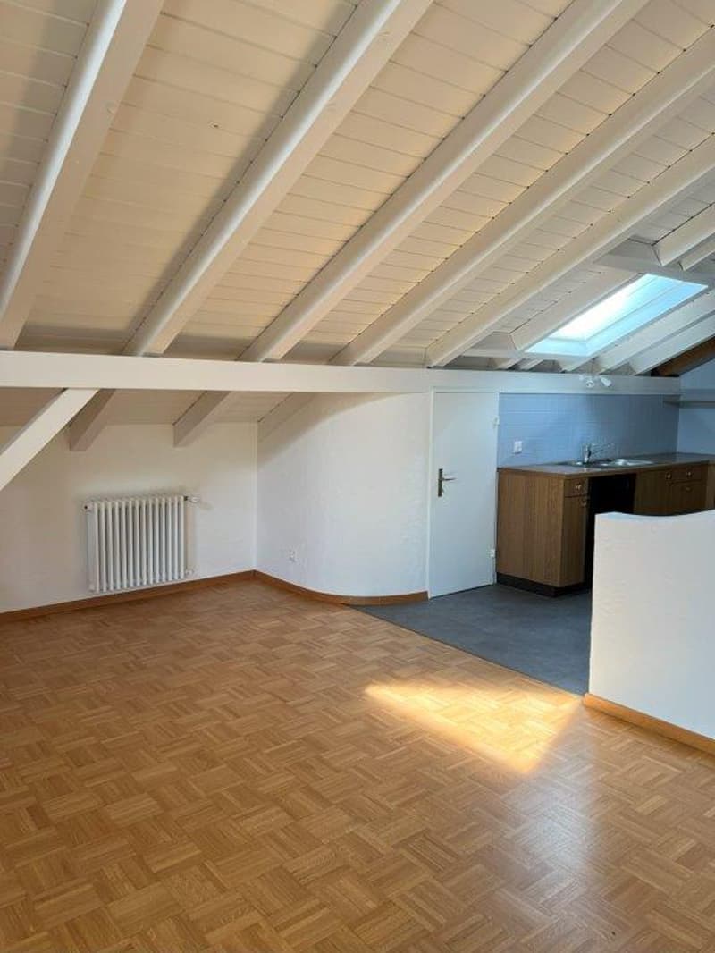 2.5-Zimmer Dachwohnung mit gedeckter Loggia und Lift (10)