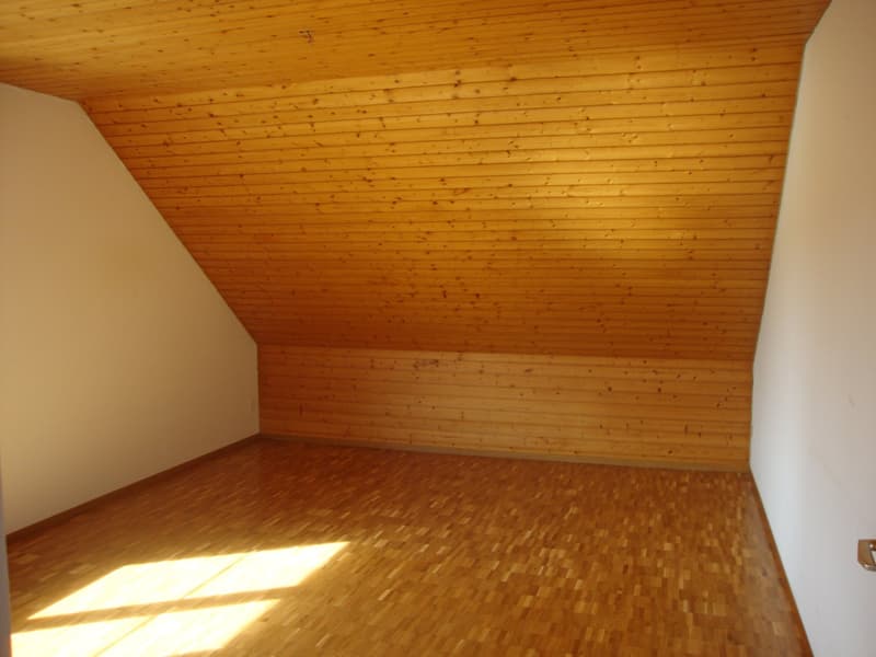 schöne 3.5 Dach-Zimmerwohnung an ruhiger und sonniger Lage (14)