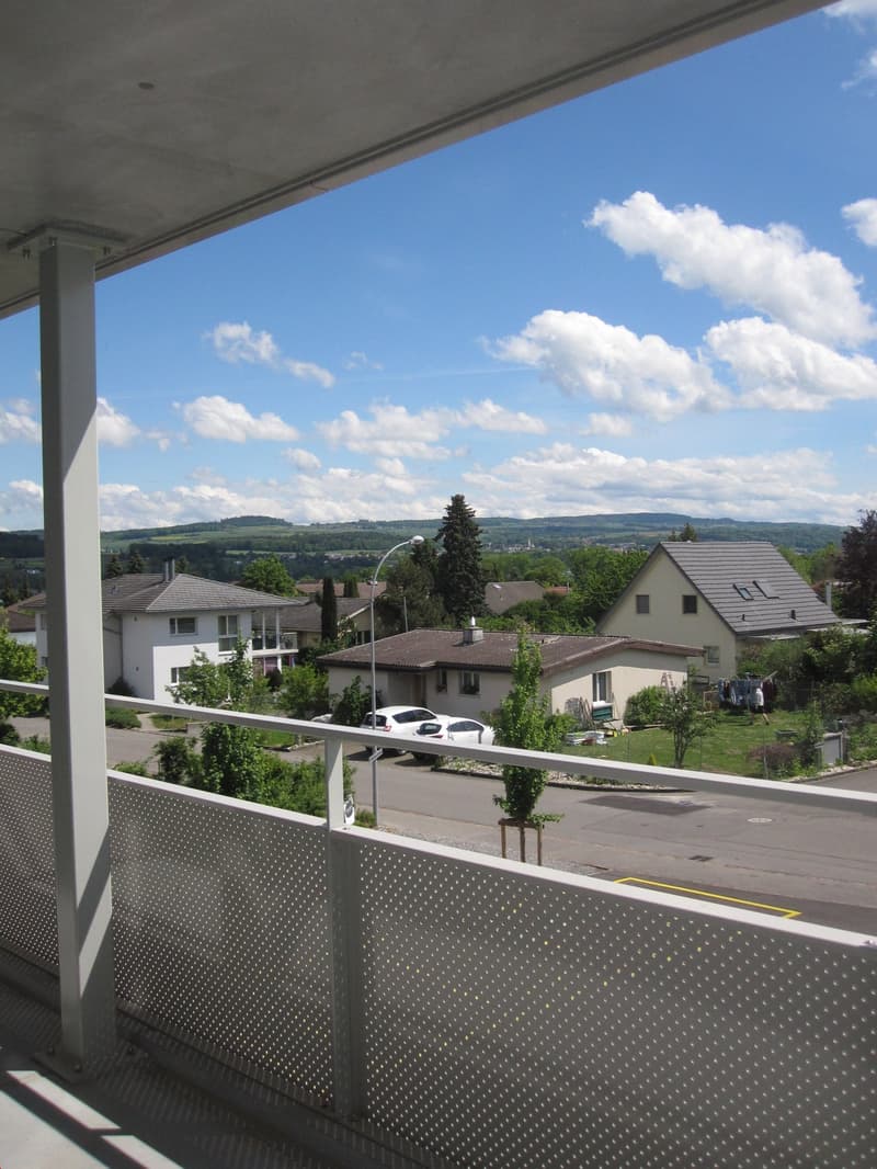2019 renovierte 3 1/2 Zi-Wohnung mit grossem Balkon und Weitsicht (5)