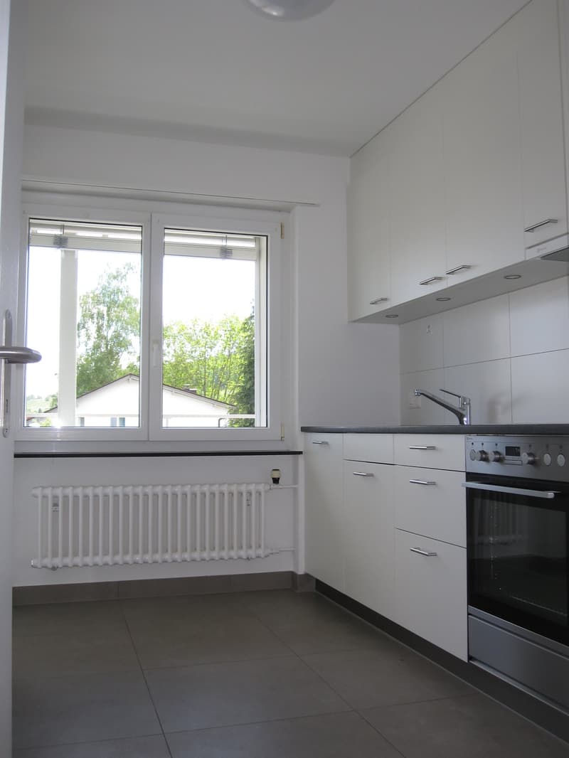 2019 renovierte 3 1/2 Zi-Wohnung mit grossem Balkon und Weitsicht (7)