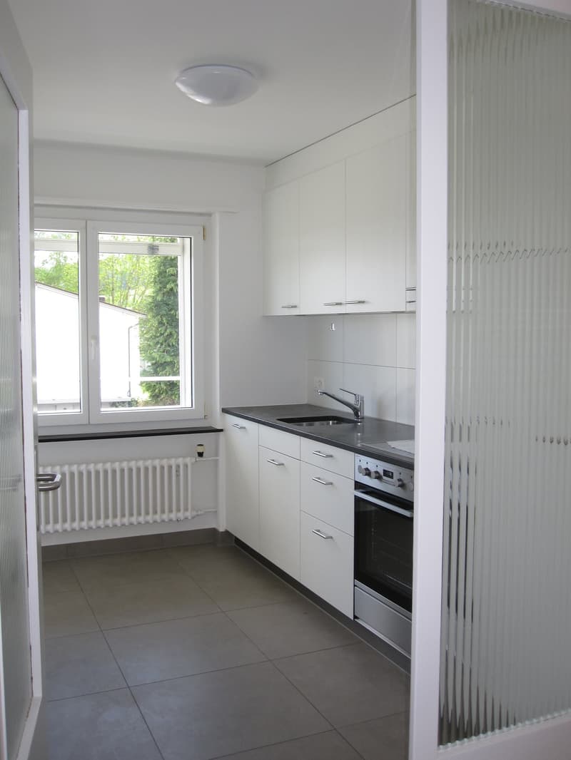 2019 renovierte 3 1/2 Zi-Wohnung mit grossem Balkon und Weitsicht (8)