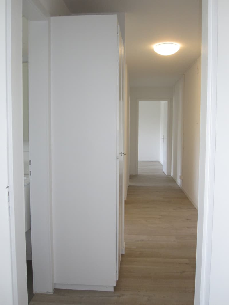 2019 renovierte 3 1/2 Zi-Wohnung mit grossem Balkon und Weitsicht (5)
