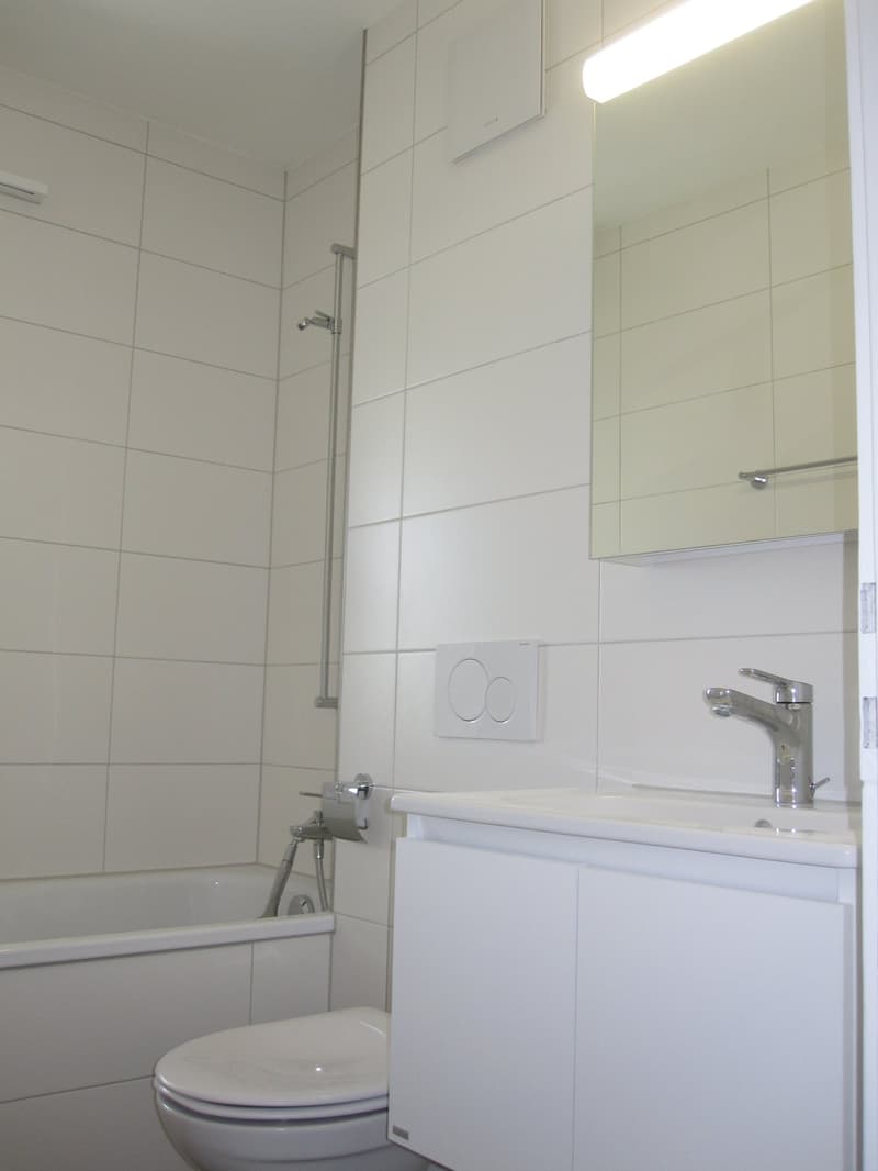 2019 renovierte 3 1/2 Zi-Wohnung mit grossem Balkon und Weitsicht (12)