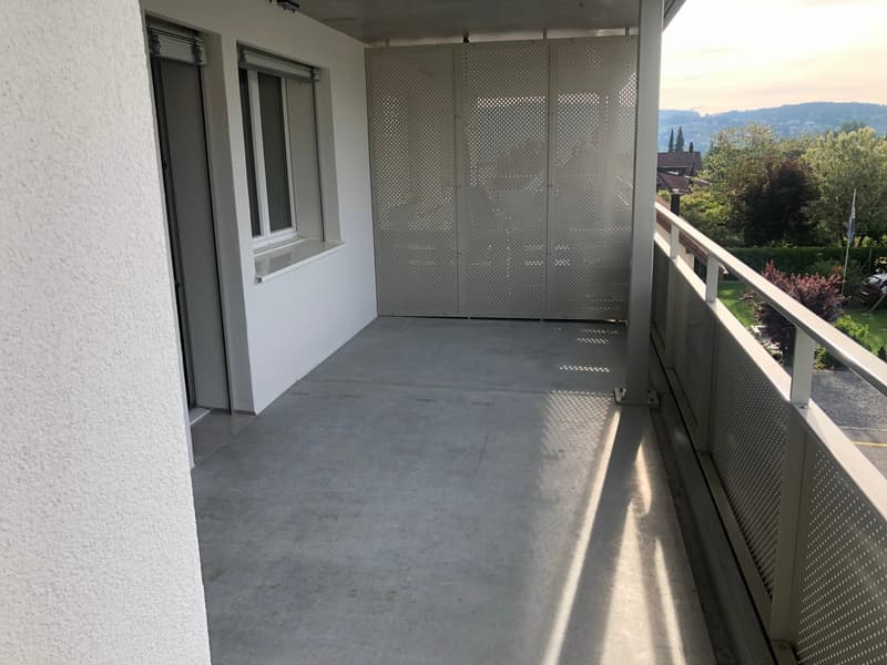 2019 renovierte 3 1/2 Zi-Wohnung mit grossem Balkon und Weitsicht (2)