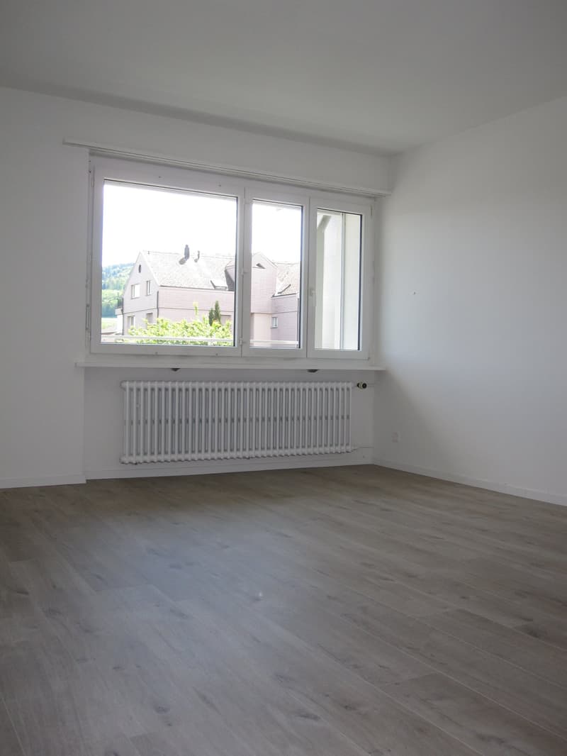 2019 renovierte 3 1/2 Zi-Wohnung mit grossem Balkon und Weitsicht (10)