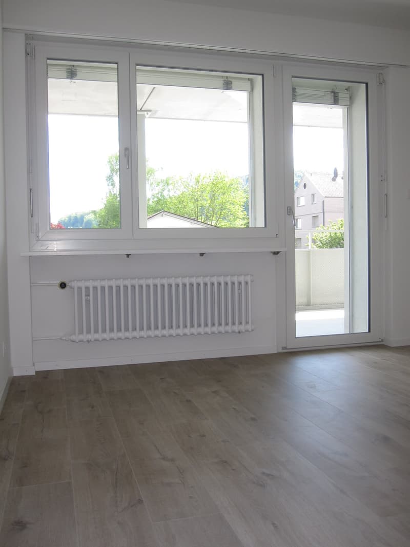 2019 renovierte 3 1/2 Zi-Wohnung mit grossem Balkon und Weitsicht (9)