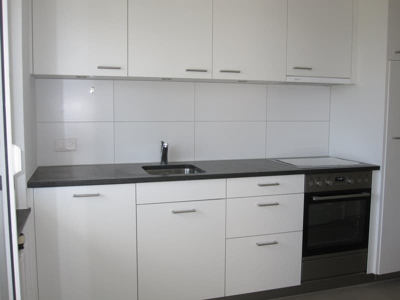 2019 renovierte 3 1/2 Zi-Wohnung mit grossem Balkon und Weitsicht (7)