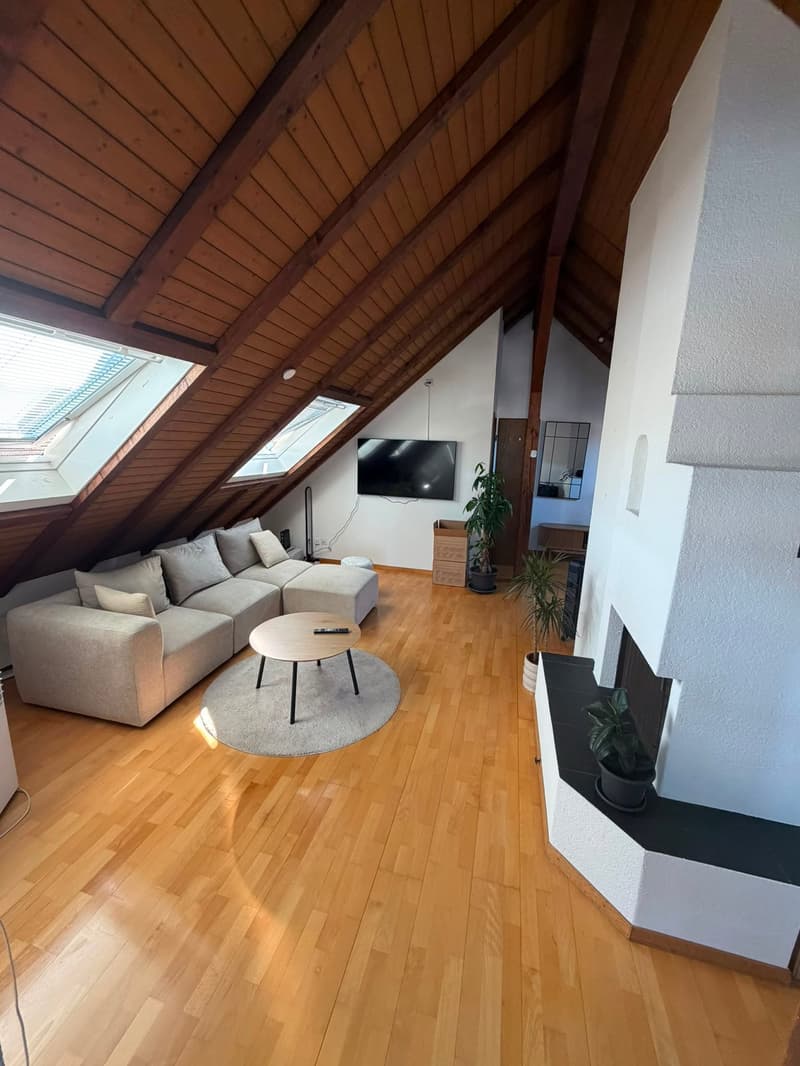 Appartement mansardé avec extras (1)