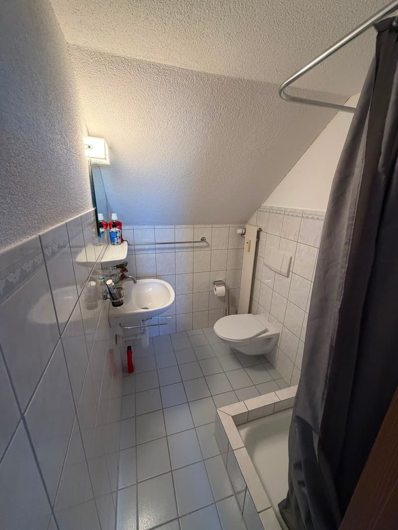 Appartement mansardé avec extras (11)