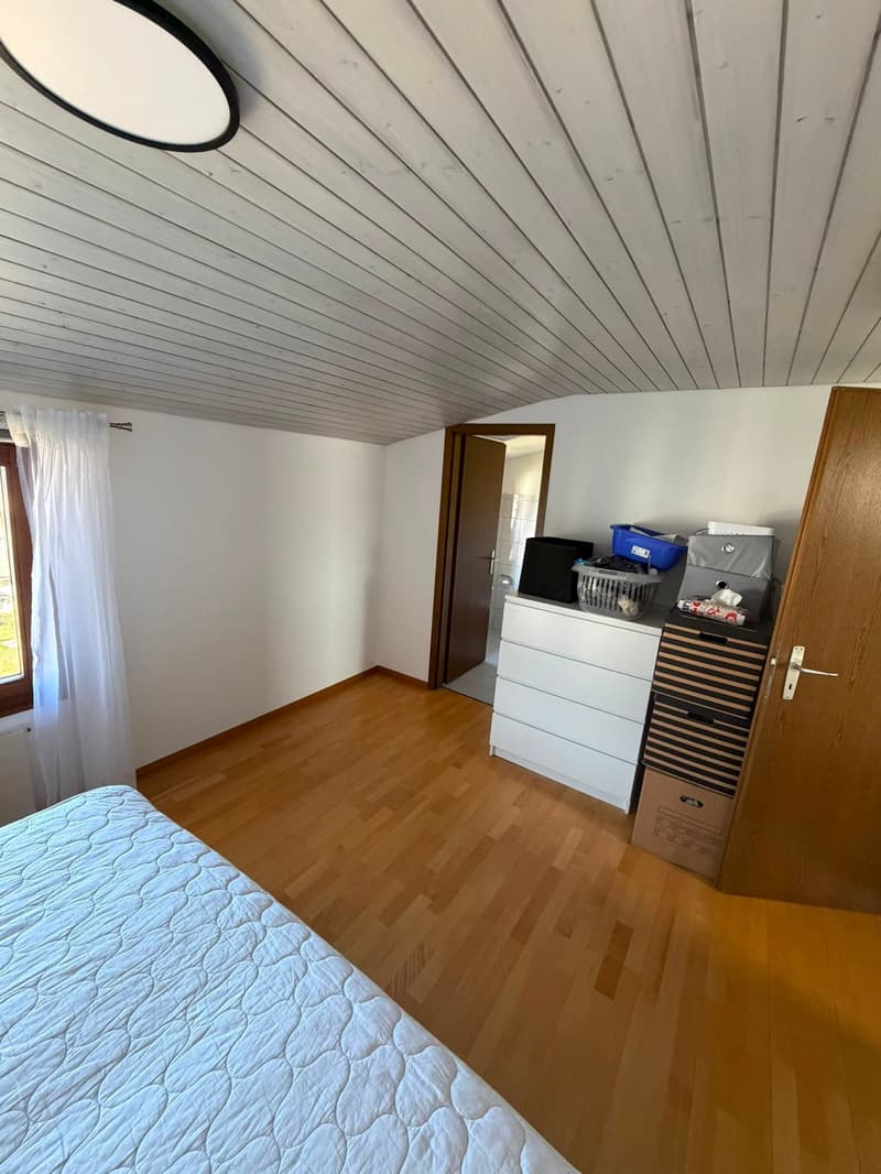 Appartement mansardé avec extras (6)