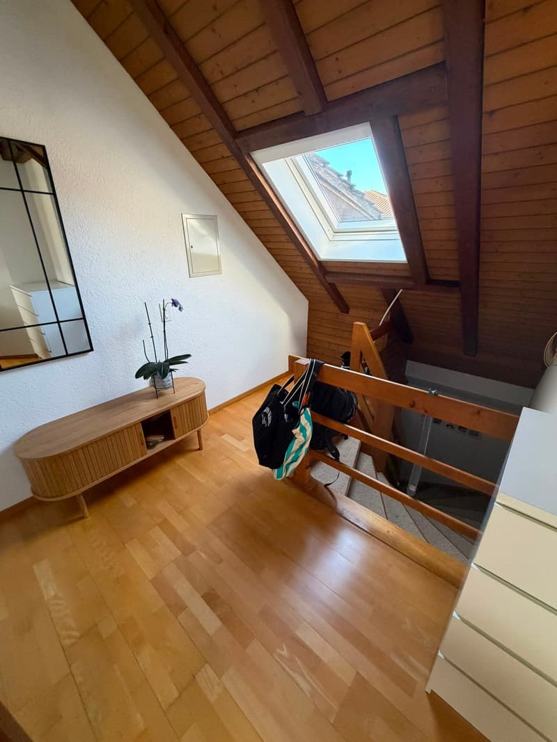 Appartement mansardé avec extras (2)