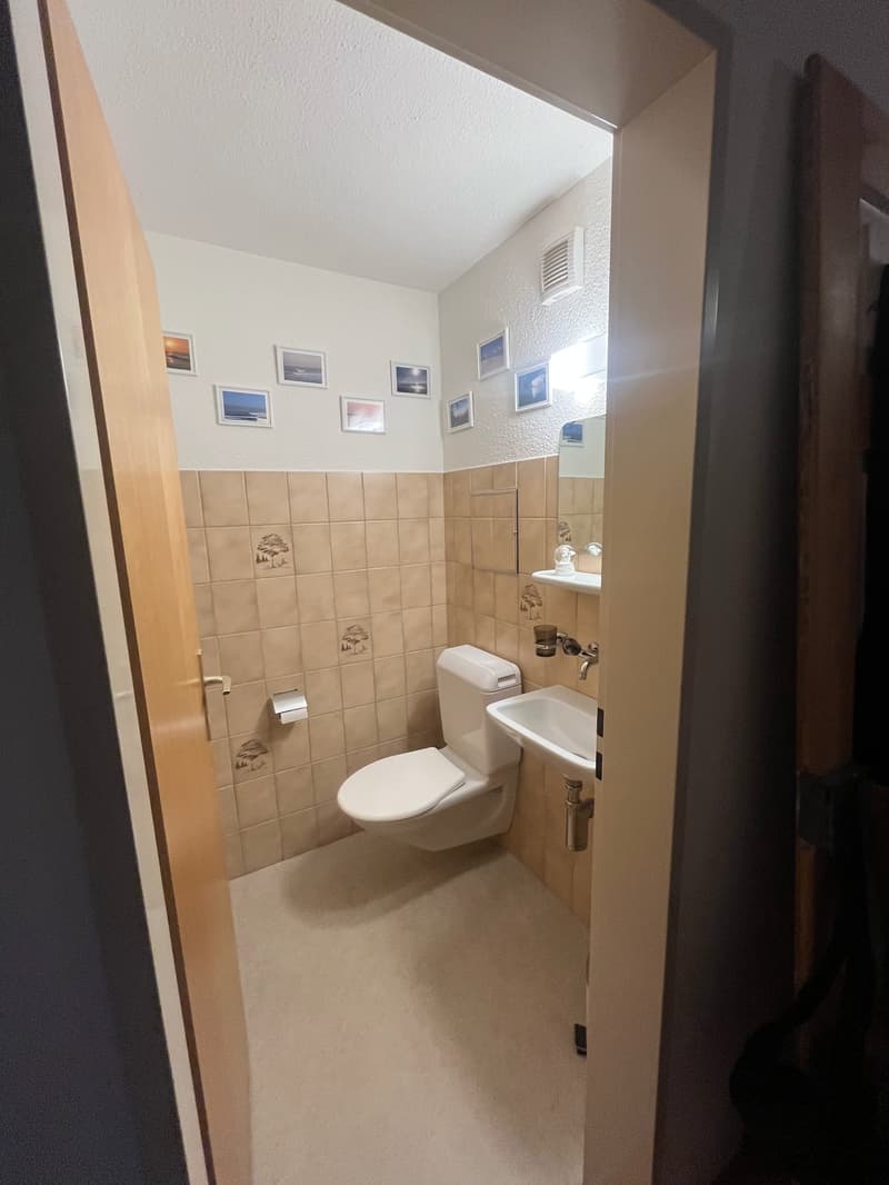 schöne 4 1/2 - Zimmerwohnung (7)
