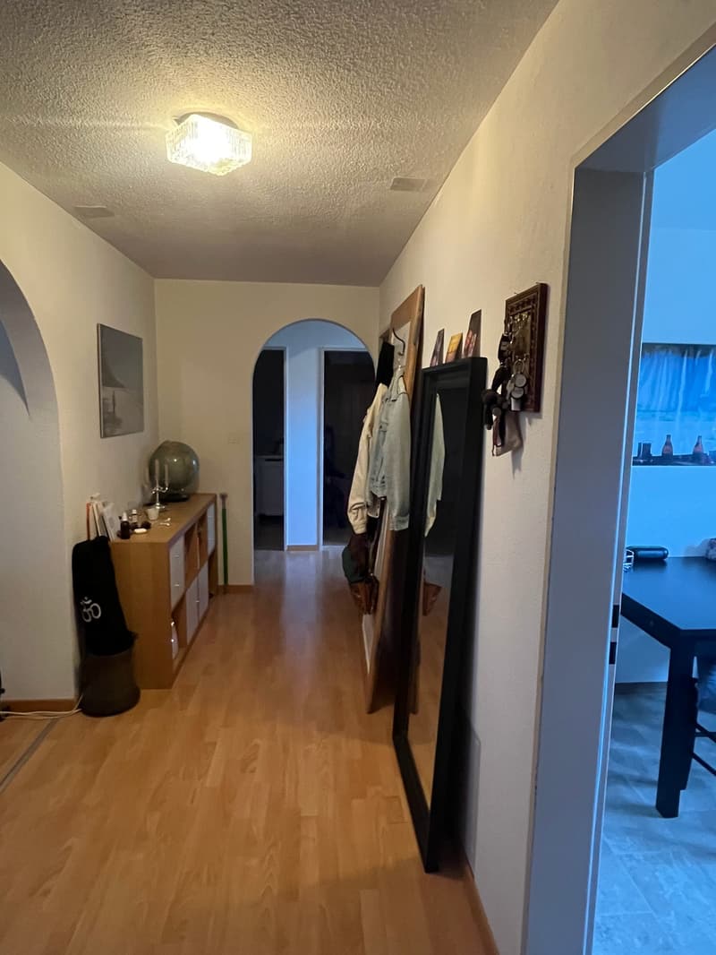 schöne 4 1/2 - Zimmerwohnung (13)