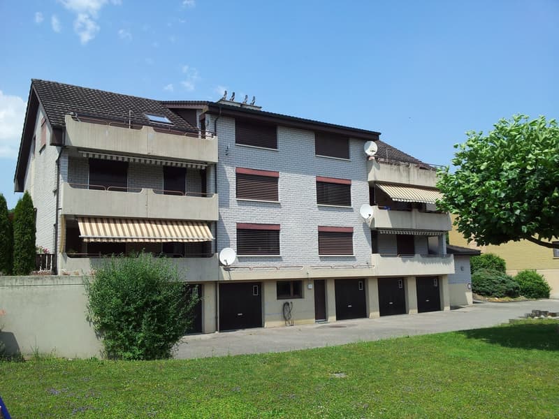 schöne 4 1/2 - Zimmerwohnung (1)