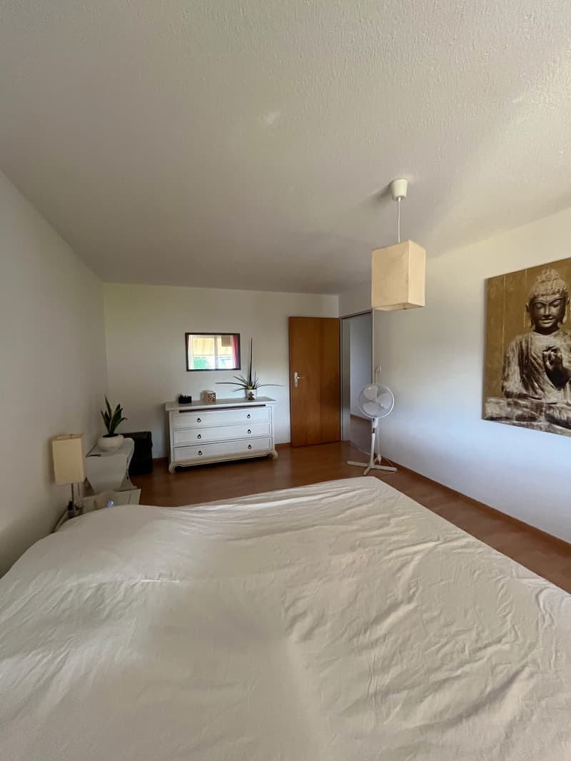 schöne 4 1/2 - Zimmerwohnung (9)