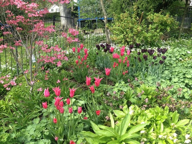 Flair de la vieille ville et générosité – vivre dans la historique « Felsenburg » avec utilisation du jardin (15)