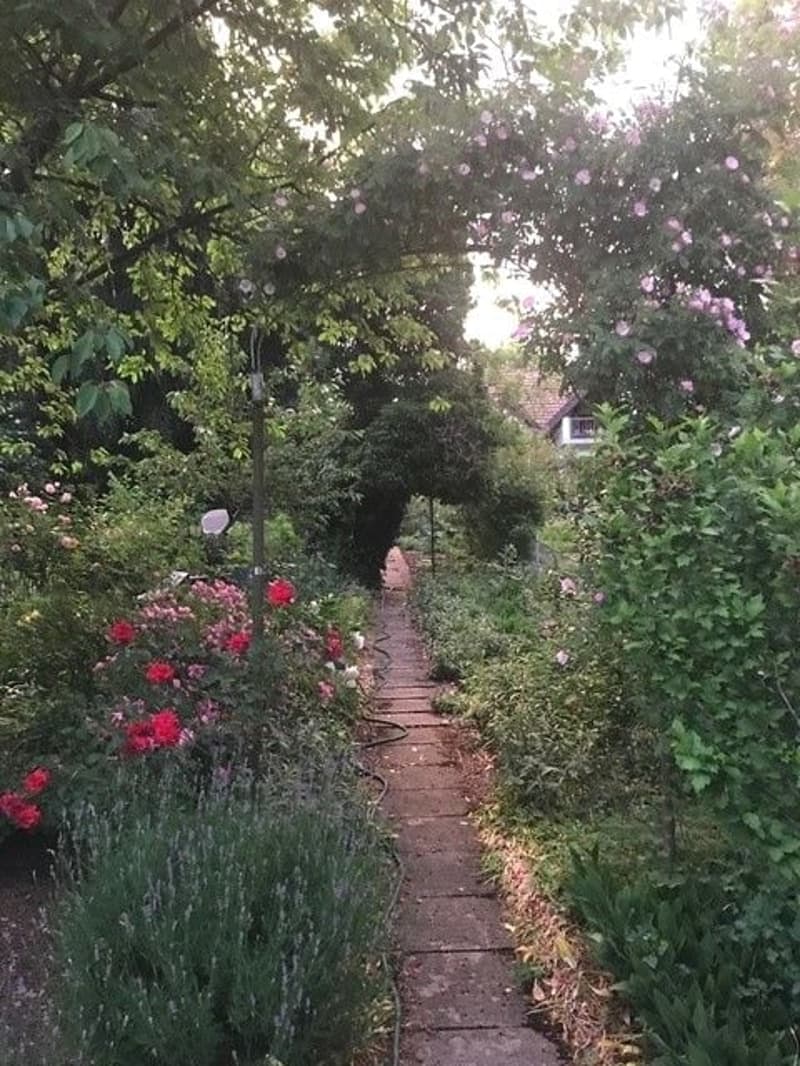 Flair de la vieille ville et générosité – vivre dans la historique « Felsenburg » avec utilisation du jardin (14)