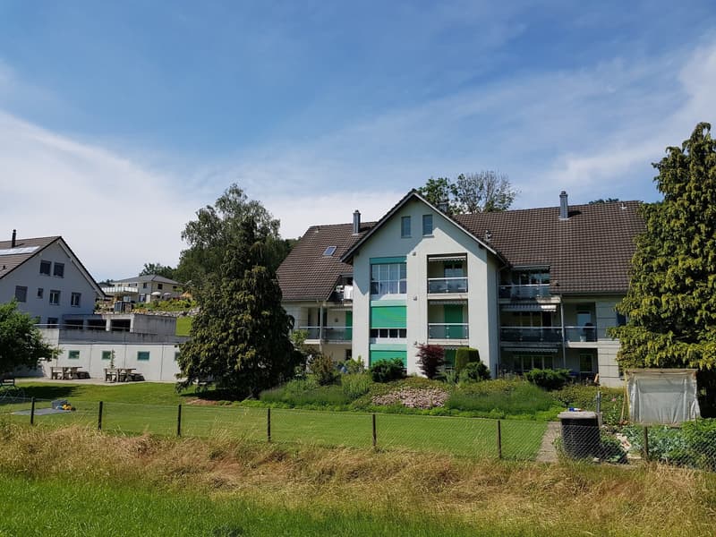 4 1/2-Zimmer Parterrewohnung am Dorfbach (2)