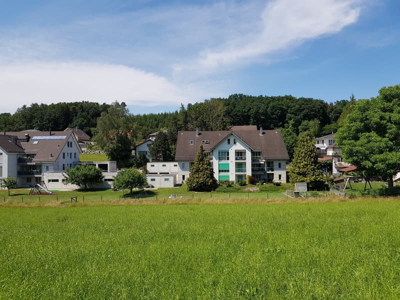 4 1/2-Zimmer Parterrewohnung am Dorfbach (3)