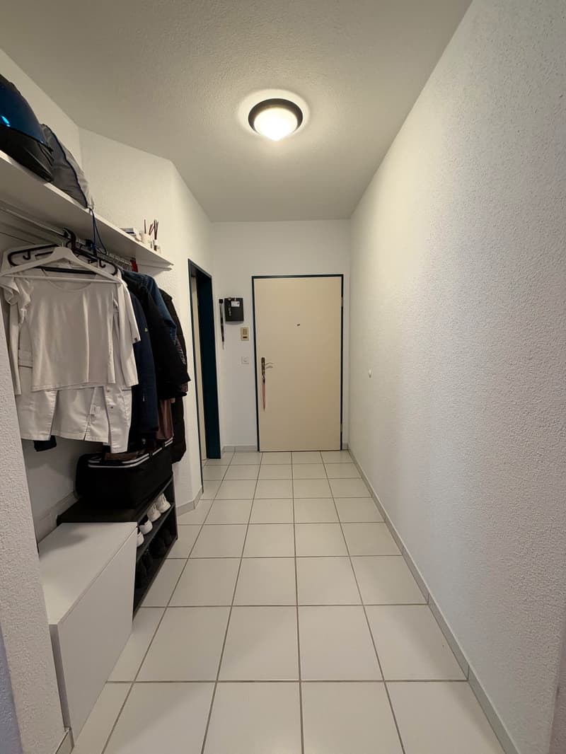 Charmante 4 1/2 Zimmer Eigentumswohnung mit Cheminée (11)