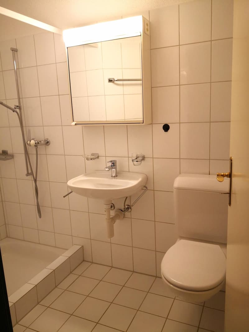 Charmante 4 1/2 Zimmer Eigentumswohnung mit Cheminée (6)