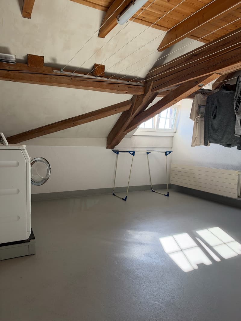 Charmante 4 1/2 Zimmer Eigentumswohnung mit Cheminée (13)
