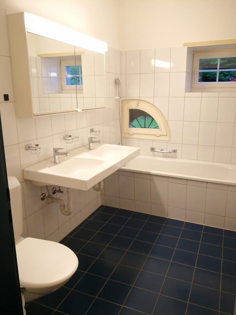 Charmante 4 1/2 Zimmer Eigentumswohnung mit Cheminée (5)