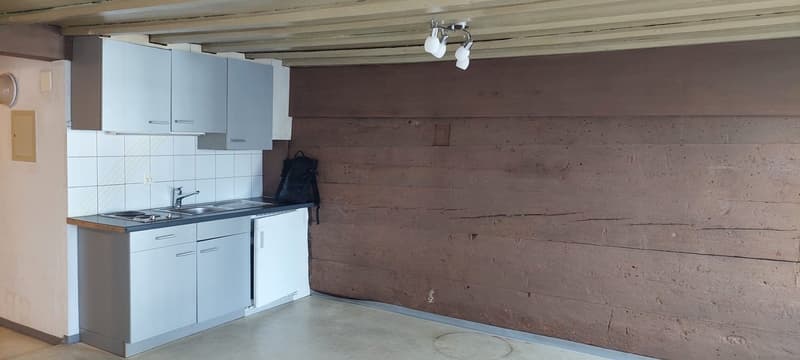 Appartamento monostanza in posizione centrale ad Arbon (4)
