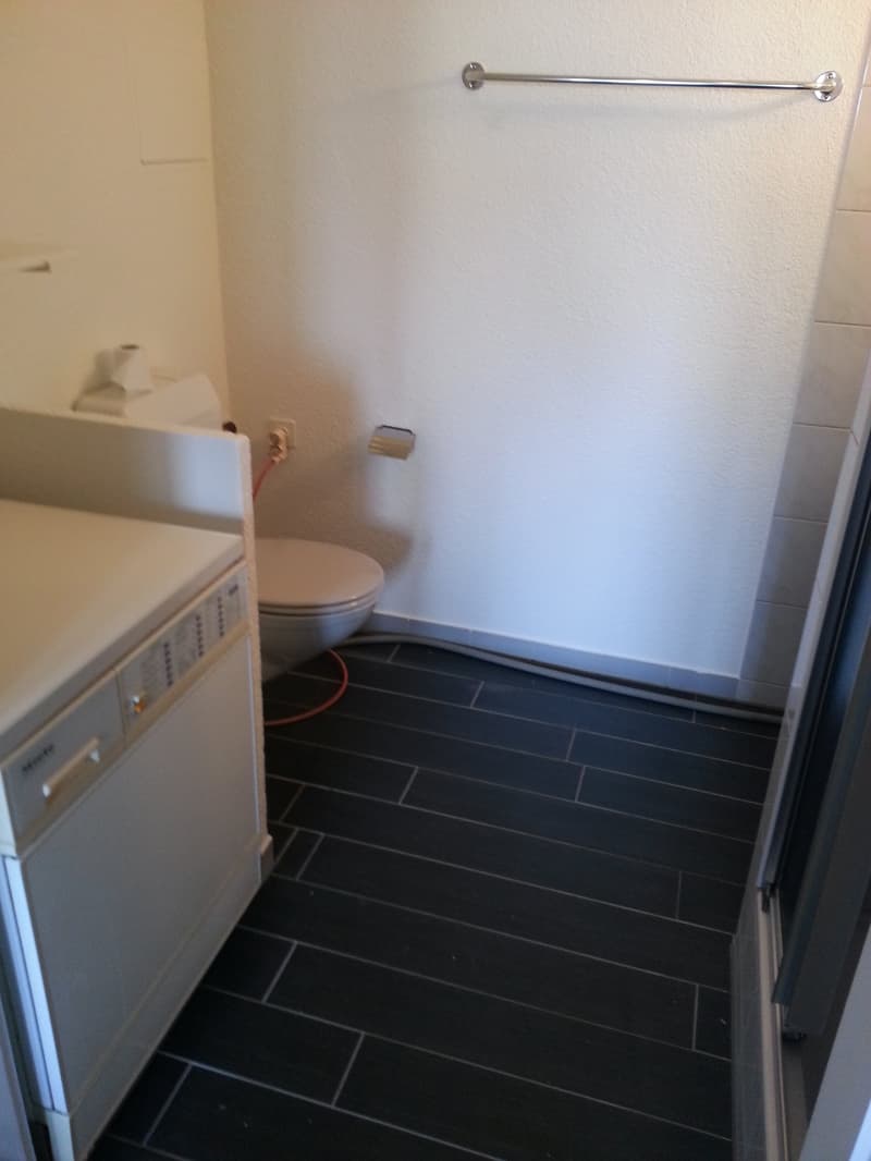 Appartamento monostanza in affitto a Niederwil (4)