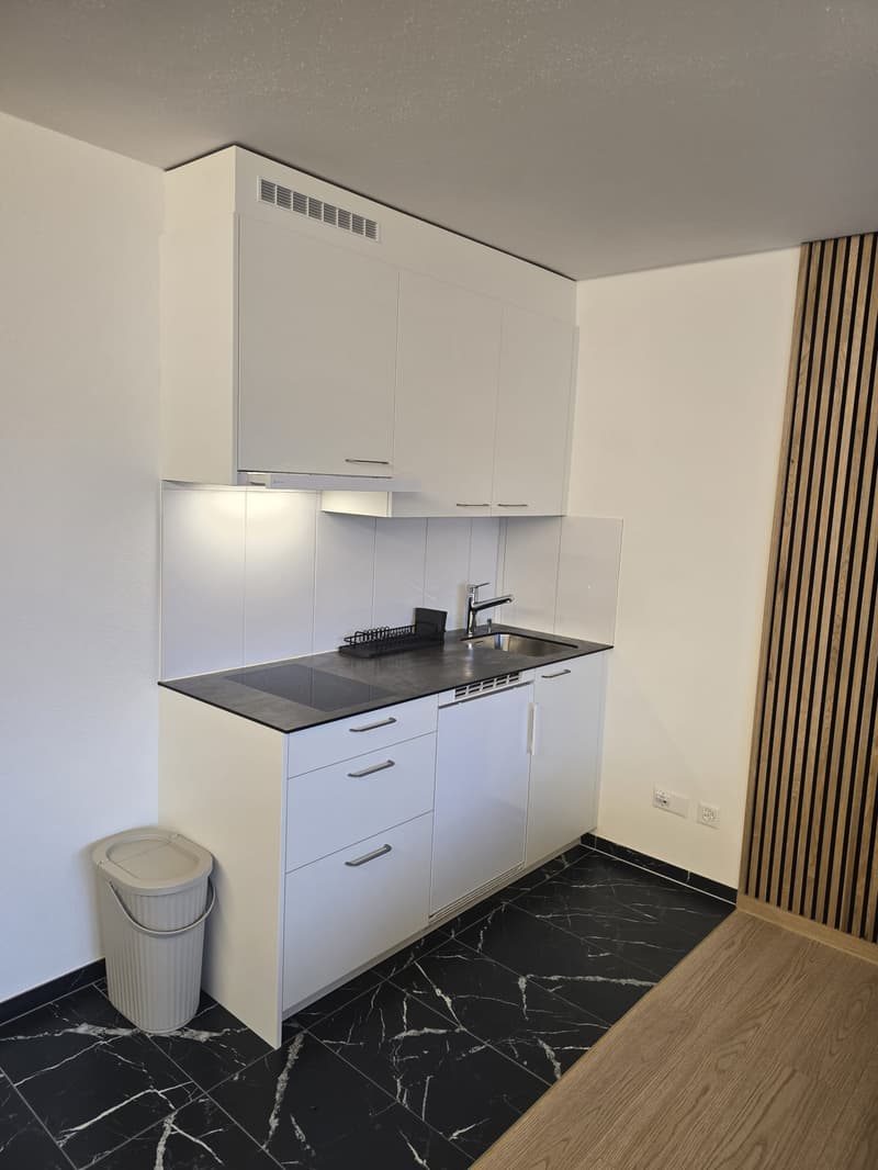 Modernes 1-Zimmer-Studio in Niederwil – neu renoviert 2026 (3)