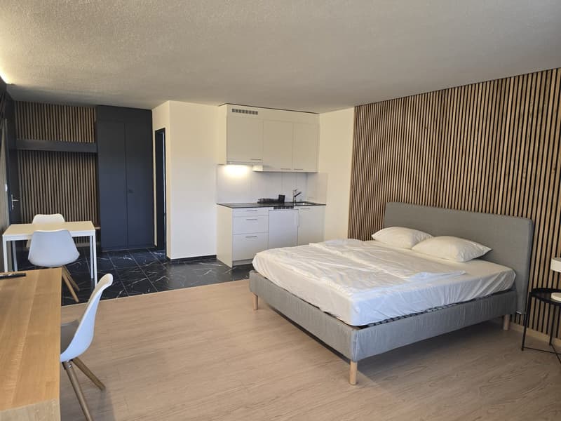 Modernes 1-Zimmer-Studio in Niederwil – neu renoviert 2026 (2)