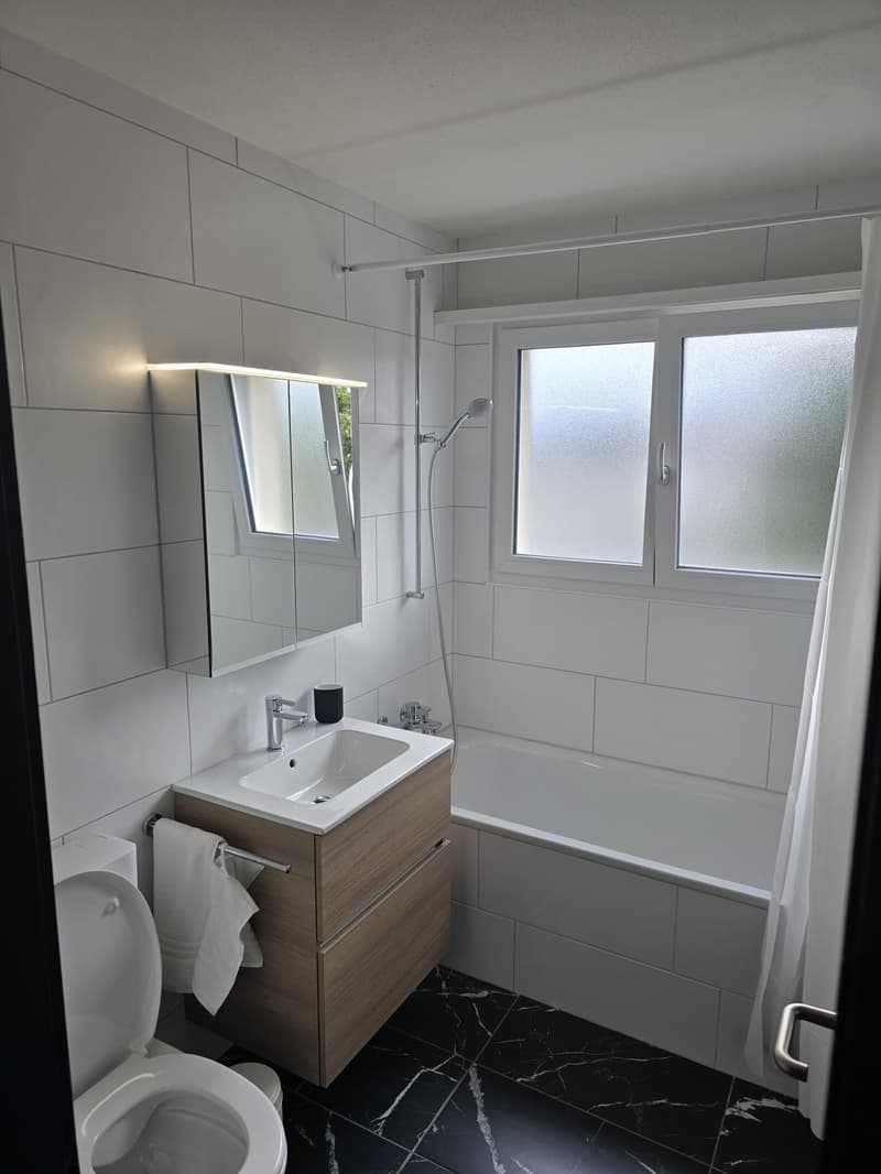 Modernes 1-Zimmer-Studio in Niederwil – neu renoviert 2026 (6)