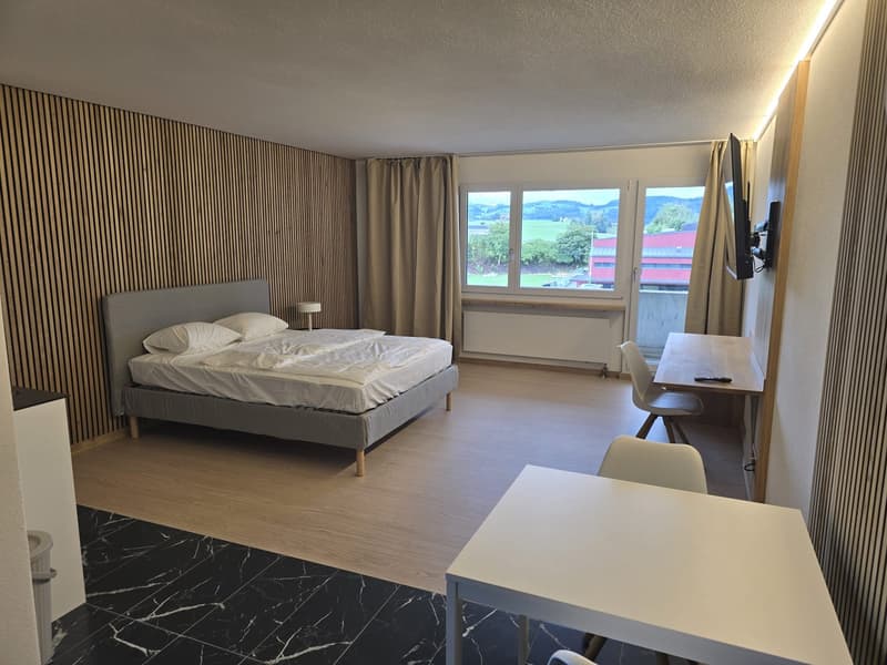 Modernes 1-Zimmer-Studio in Niederwil – neu renoviert 2026 (4)
