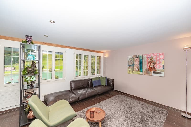 Charming Chalet with 3 Living Units (8)