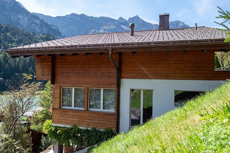 Charming Chalet with 3 Living Units (4)