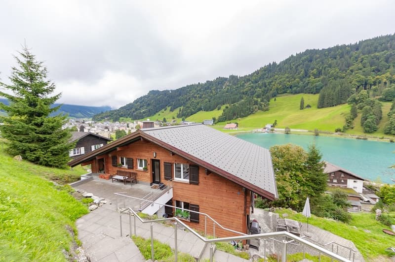 Charming Chalet with 3 Living Units (6)