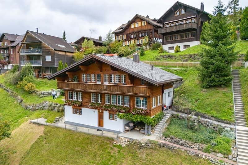 Charming Chalet with 3 Living Units (3)